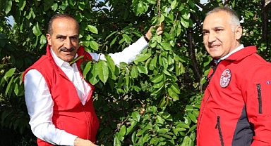 2023’ün ilk kirazı hasat edildi: Kirazda rekorlar kırdığımız bir yıl olacak