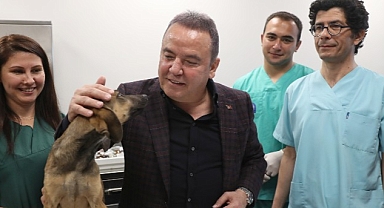 Antalya Büyükşehir'den 'Can Dostlara' Türkiye'nin en modern tesisi 