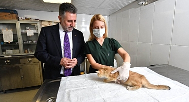 Bayraklı’daki can dostlara özel klinik!