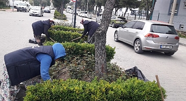 Burhaniye'de yabani ot temizliği çalışmaları başladı