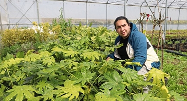 Büyükşehir'in kurduğu modern seralardaki verim üreticiyi sevindirdi
