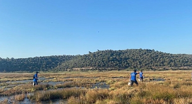 Büyükşehir Vektörle Mücadele Çalışmalarına devam ediyor 