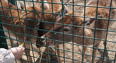 Doğal Yaşama Bahar Geldi