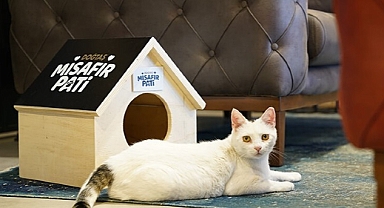 Doğtaş’tan Patili Dostlarımızı Sahiplenmeye Teşvik: Evde, Sokakta, Mağazada Paliti Dostların Yanında