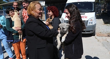 Dünya Veteriner Hekimler Günü dolayısıyla Bodrum Belediyesi Veteriner İşleri Müdürlüğü tarafından kahvaltı organizasyonu gerçekleştirildi