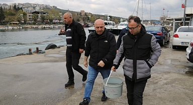 Gebzeli balıkçıların ağına takılan kalkan balığı tekrar denize salındı