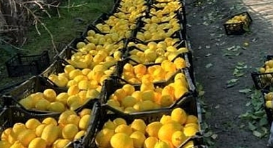 Hatay’dan yerel ürünler ile ‘’Bu Ramazan, bereketi paylaşmanın tam zamanı’’, Hatay Beyaz Balkabağı ile Zencefilli Balkabağı Çorbası tarifi