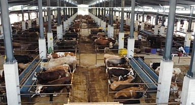 İnegöl Hayvan Pazarı Kotra İhale Tarihi Belli Oldu