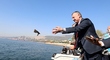 İzmit Körfezine 5 bin balık daha salınacak