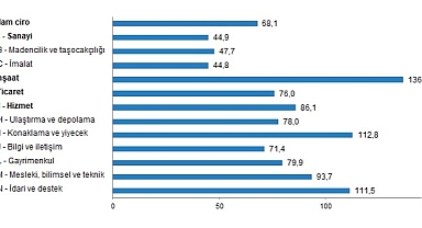 TÜİK: Ciro Endeksleri, Şubat 2023