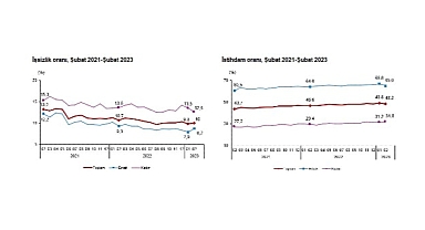 TÜİK: İşgücü İstatistikleri, Şubat 2023