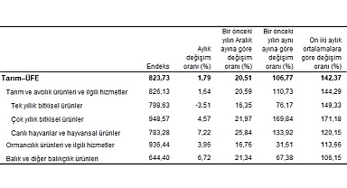 TÜİK: Tarım ürünleri üretici fiyat endeksi (Tarım-ÜFE) yıllık %106,77, aylık %1,79 arttı