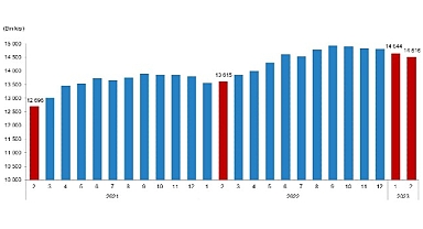 TÜİK: Ücretli Çalışan İstatistikleri, Şubat 2023
