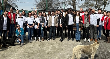 Tüm Canlılar Sevgi Dolu Bir Yuvayı Hak Eder