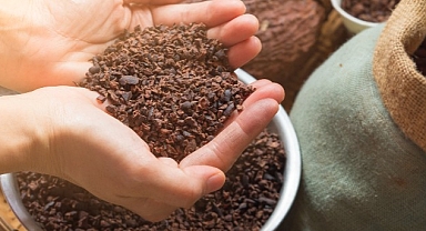 Türkiye Kalkınma ve Yatırım Bankası, gıda sektöründe faaliyet gösteren Altınmarka Gıda’nın sukuk ihracını gerçekleştirdi