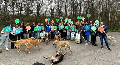 Watsons Türkiye HAYTAP İş Birliği ile 4 Nisan Sokak Hayvanları Günü’nde Ormanlardaki Dostlarımızı 1 Ton Mamayla Besledi!