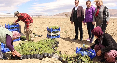 Antalya Büyükşehir Belediyesi'nin Elmalı'da Hibe Desteği Sürüyor