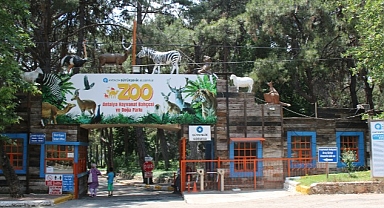 Antalya’da ‘Hayvanat Bahçeleri’ Toplantısı