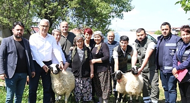 Başkan Çerçioğlu’ndan Koyunları Telef Olan Üretici Kadına Destek