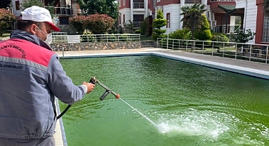 Burhaniye Belediyesi Sinek ve Haşeresiz Yaz İçin İlaçlama Çalışmaları Hız Kazandı