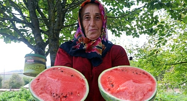 Çilek bahçesi tesisi ve karpuz tohumu