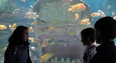 Deniz Dünyası’nda Meraklı Bakışlar