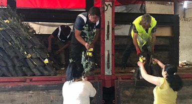 Deprem kentleri “Başka Bir Tarım Mümkün” anlayışı ile kalkınıyor İzmir’den Osmaniye’ye 20 bin zeytin fidanı