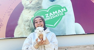  Depremzede kediler yeni evlerine kavuştu
