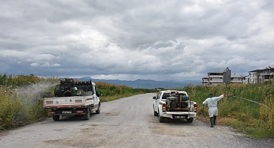 Edremit’te Sivrisinek İle Mücadele