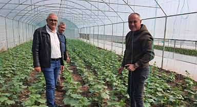 Gemlik Belediyesi'nde organik tarım çalışmaları sürüyor
