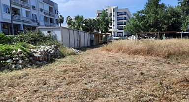 İlçe genelindeki yeşil alanlarda bakım çalışması