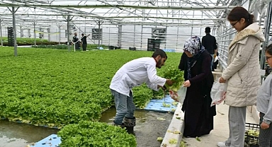 Jeotermal Seranın İlk Ürünleri Haymanalılara