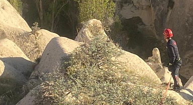 Kayalıklarda Mahsur Kalan Köpeği İtfaiye Ekipleri Kurtardı