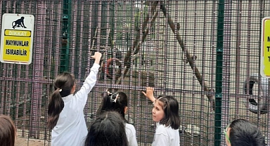 Minik Kaşifler İş Başında