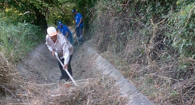 Muğla Büyükşehir’den Muğla Tarımına Destek 