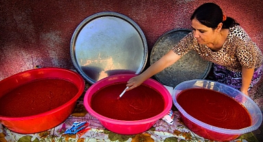 Muğla Büyükşehir Salça Üretim Tesisi Fizibilite Projesi’ne GEKA Desteği 