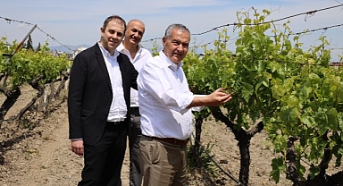 “NEİN (Hayır) demeyi öğrendiğimiz gün kuru üzümümüz para edecek”