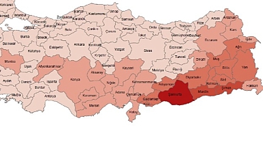 TÜİK: Canlı doğan bebek sayısı 1 milyon 35 bin 795 oldu