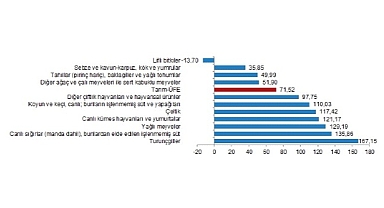TÜİK: Tarım ürünleri üretici fiyat endeksi (Tarım-ÜFE) yıllık %71,52 arttı, aylık %2,32 azaldı