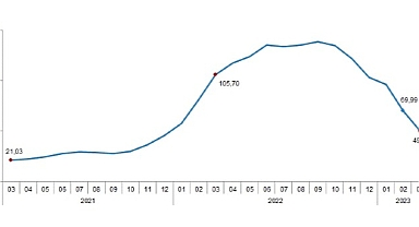 TÜİK: Tarımsal girdi fiyat endeksi (Tarım-GFE) yıllık %49,70, aylık %1,41 arttı
