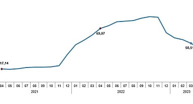 TÜİK: Tüketici fiyat endeksi (TÜFE) yıllık %43,68, aylık %2,39 oldu