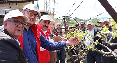 Türk üzümü dünya sofralarına kalıntısız ulaşıyor