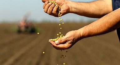 Türkiye’nin gıda ihracatındaki yeni hedefi 50 milyar dolar