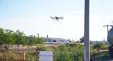 Ayvalık’ta dronların hedefinde sinekler var