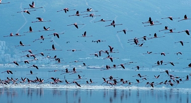 Başkan Soyer Çiğli Arıtma Tesisi’ndeki çalışmaları inceledi İZSU’dan temiz Körfez için tarihi adımlar