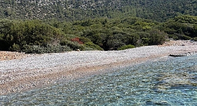 Belediyeden, ada ve koylarda temizlik