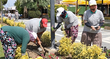 Burhaniye Çiçeklerle Renkleniyor