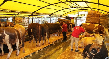 İstanbul Kurban Bayramına hazır