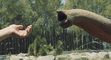 İstanbul Modern Sinema’da Unutma Biçimleri