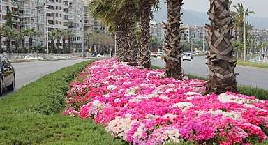 İzmir çiçek açtı
